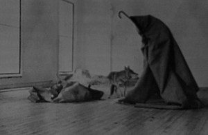 Beuys Beuys