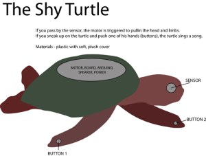 ShyTurtle