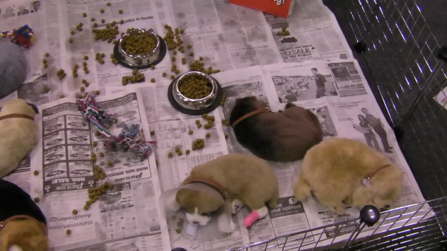 SANYO DIGITAL CAMERA