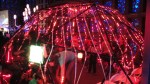 tent of lights