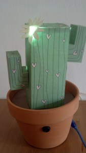 IMG_20130525_160606_396