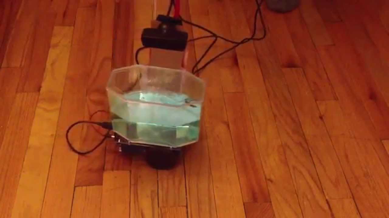 Fish Freedom: Car Test