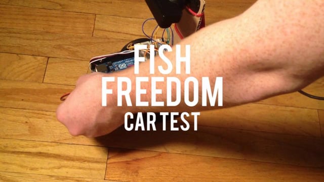Fish Freedom – Prototype Video