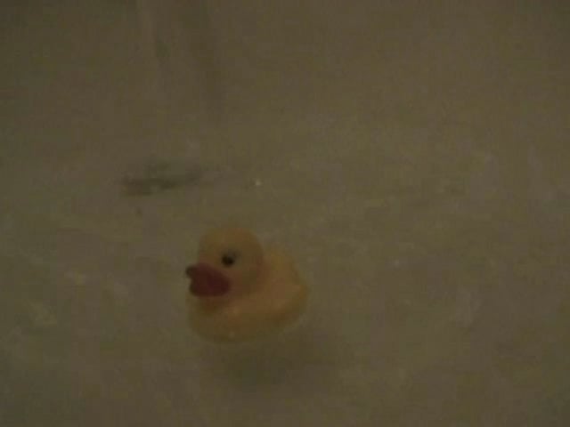 08 Bath Duck
