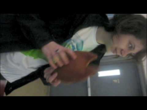 Cornelius Hoot Undergoes Further User Testing